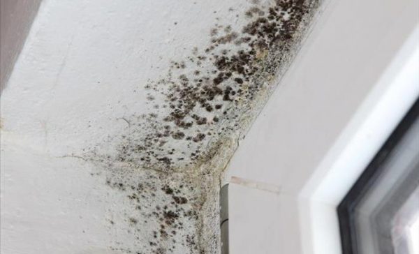 10182-cf2da357-df06-42b9-99e2-819863e847f3